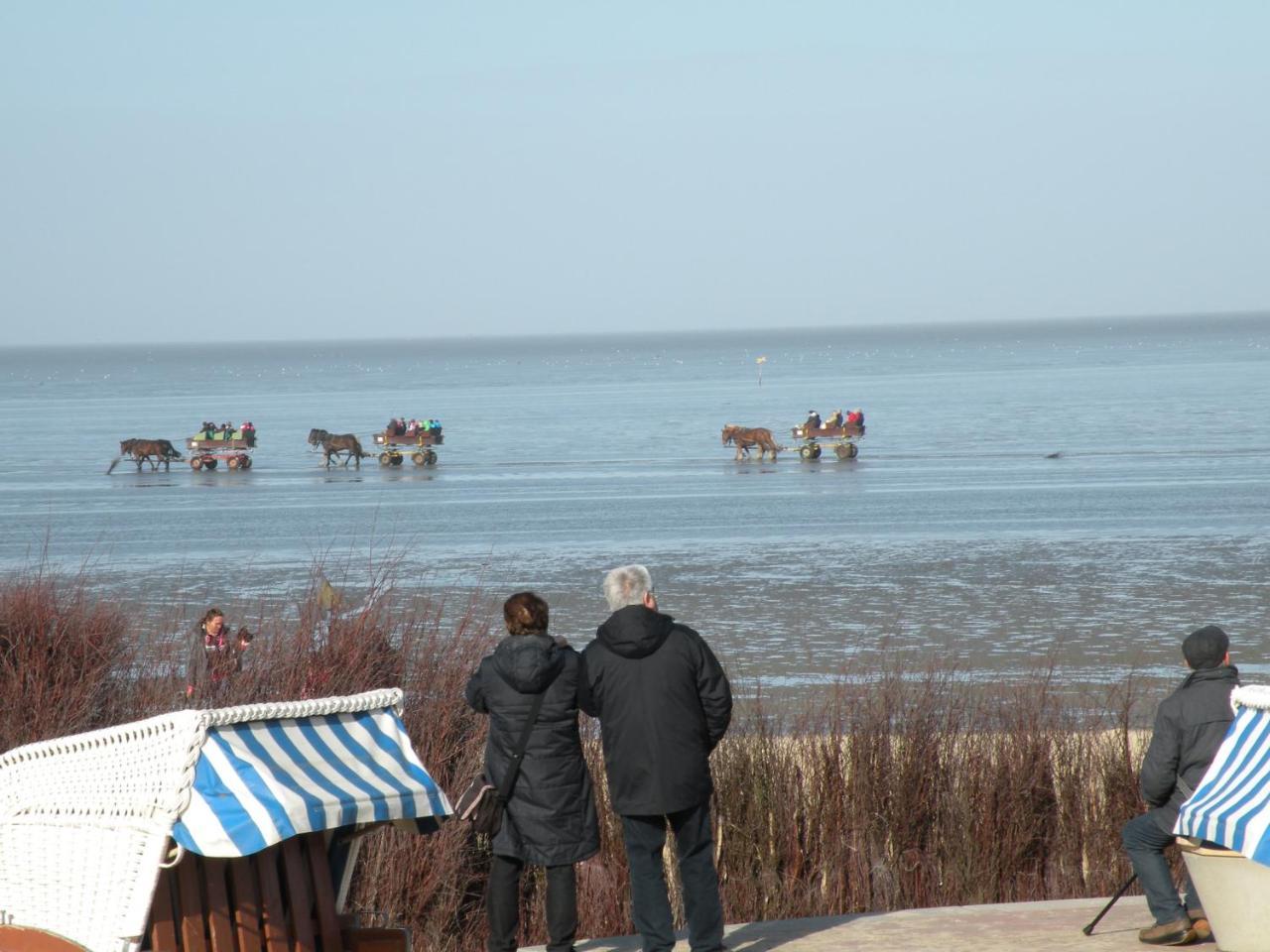 Altes Pastorenhus - Land Und Meer Osterbruch Ngoại thất bức ảnh